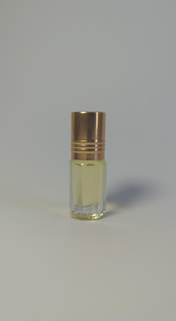 Riviera.webp indigo
